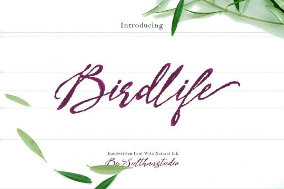 Bird Life: A Font That Makes Branding Feel Handwritten