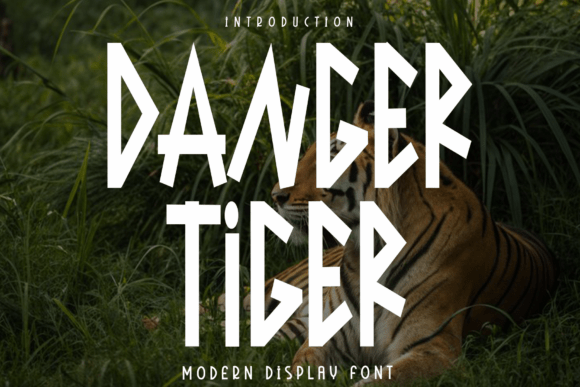 Danger Tiger: A Sophisticated Script Font for Modern Web Design