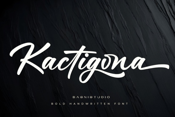 Kactigona Font Review: A Bold Handwritten Energy