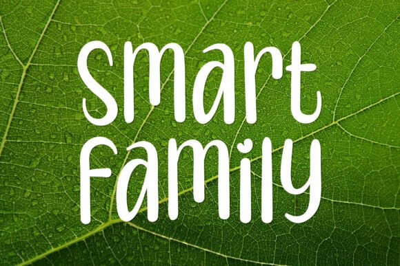 Smart Family: A Friendly Sans-Serif Font Built for Modern Web Projects