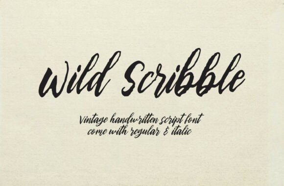 Wild Scribbble: A Designer’s Honest Review for Real Projects